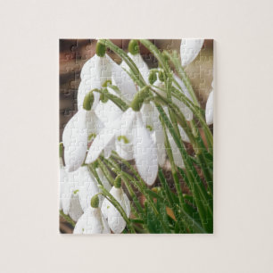 Puzzle Perce-neiges renversantes