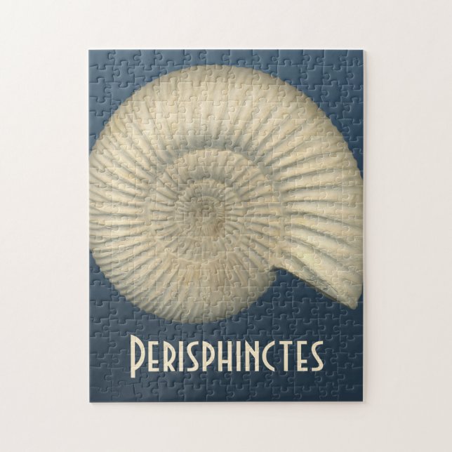 Puzzle Perisphinctes Ammonite (Vertical)