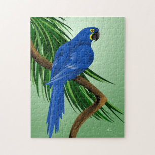 Puzzle Perroquet bleu - aras de jacinthe