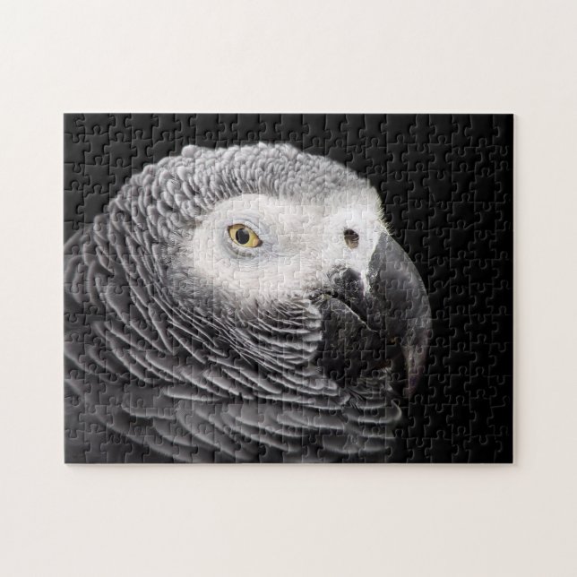 Puzzle Perroquet de gris africain (Horizontal)