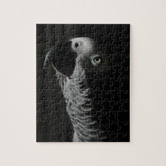 Puzzle Perroquet de gris africain (Vertical)