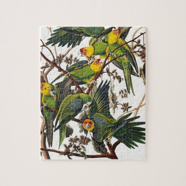 Puzzle Perroquet de la Caroline - John James Audubon (Vertical)