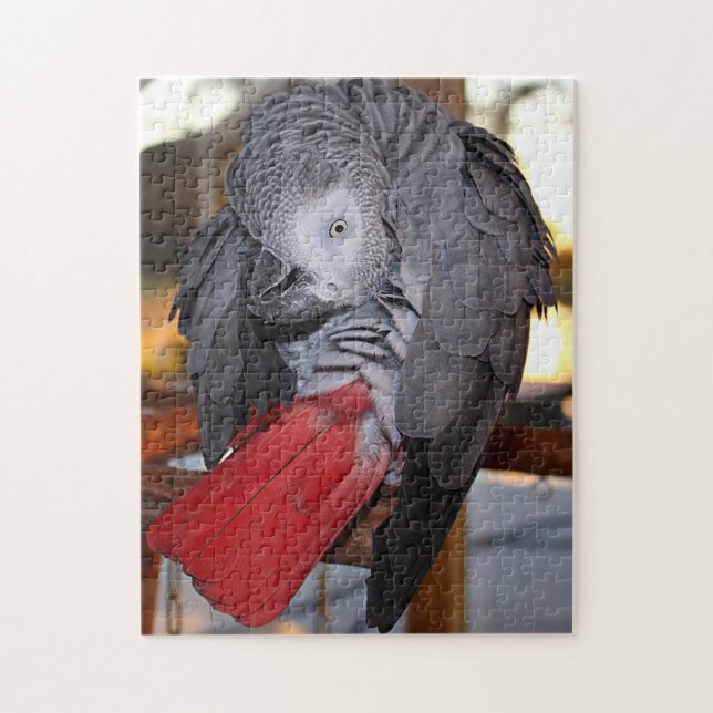 Puzzle Perroquet flexible de gris africain du Congo avec (Vertical)