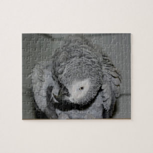 Puzzle Perroquet gris africain Oiseau soyeux
