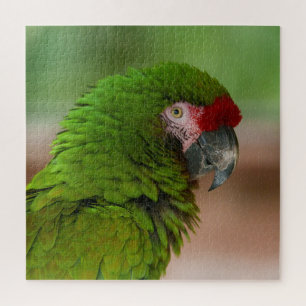 Puzzle Perroquet macaw dynamique en mode Profil