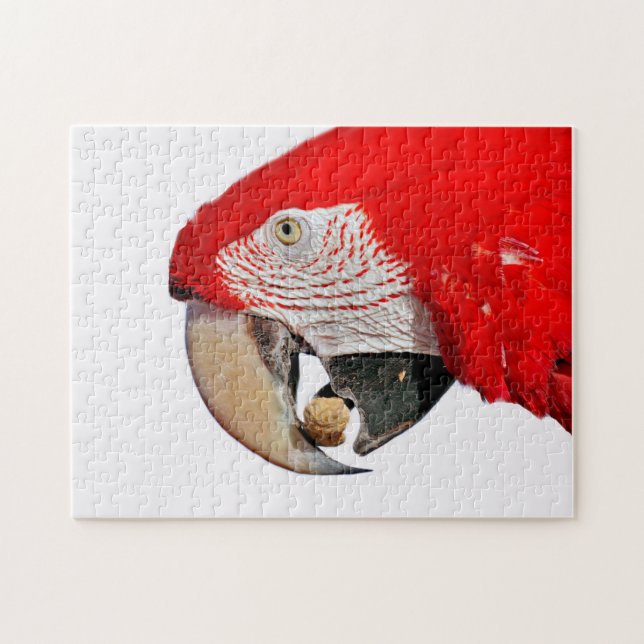 Puzzle Perroquet macaw rouge avec arachide (Horizontal)