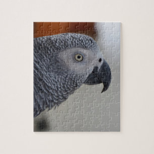 Puzzle Perroquet majestueux de gris africain