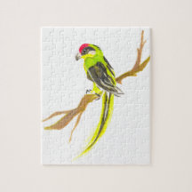Perroquet sur une branche. Peinture aquarelle.