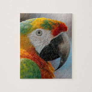 Puzzle Perroquet tropical d'ara
