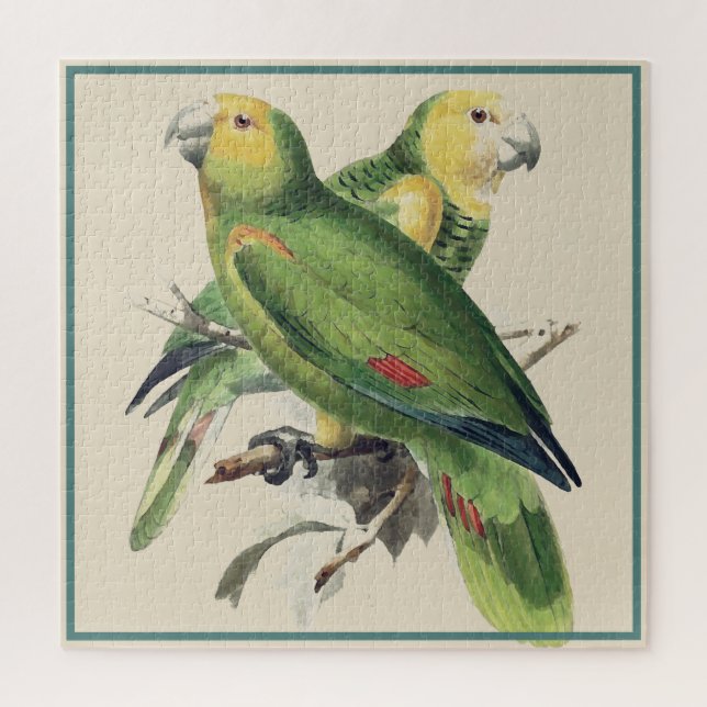 Puzzle Perroquets d'Amazona - oiseaux vintages (Vertical)