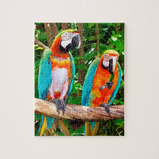 Puzzle Perroquets Floride