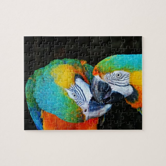Puzzle Perroquets - Meilleurs amis (Horizontal)