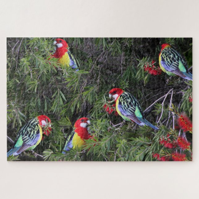 Puzzle Perroquets tropicaux Oiseaux de Rosella-Est (Horizontal)
