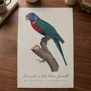 Puzzle Perruche a tete bleue, femelle / Rainbow lorikeet,