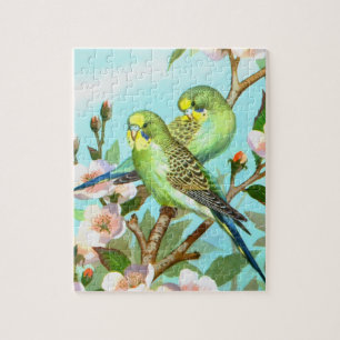 Puzzle Perruches