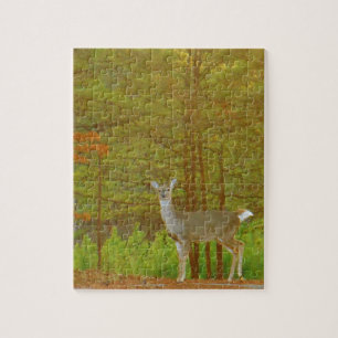 Puzzle Personnaliser