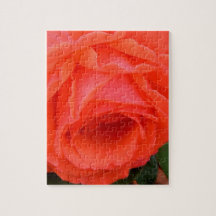 Pétales molles de rose rouge - 8x10 - 110 pièces