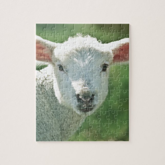 Puzzle Petit agneau blanc (Vertical)