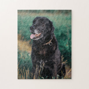 Puzzle Petit animal de compagnie de Chien Noir du Labrado