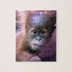 Puzzle Petit bébé orangoutan à Sumatra