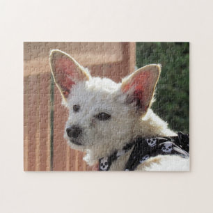 Puzzle - Petit chien blanc