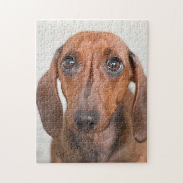 Puzzle Petit chien Weiner (Vertical)