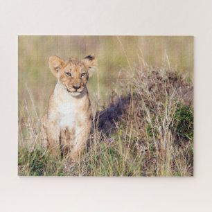 Puzzle Petit lionceau en Afrique photo