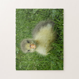 Puzzle petit oison dans l'herbe verte luxuriante