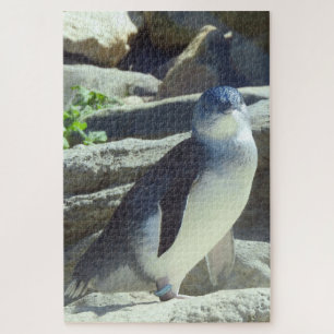 Puzzle Petit pingouin