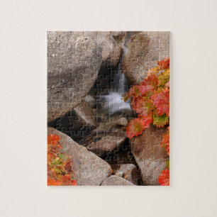 Puzzle Petit ruisseau en automne, Californie
