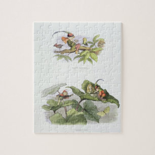 Puzzle Petite birdie pauvre taquinée, et cour abrégée