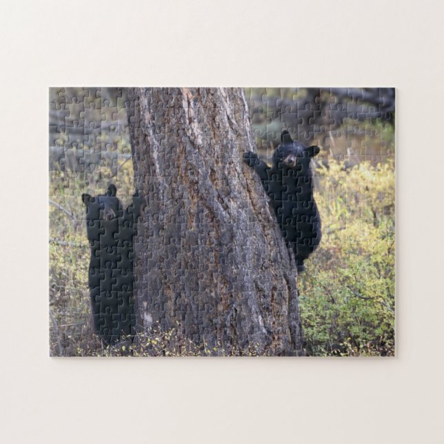 Puzzle petits animaux d'ours noir (Horizontal)