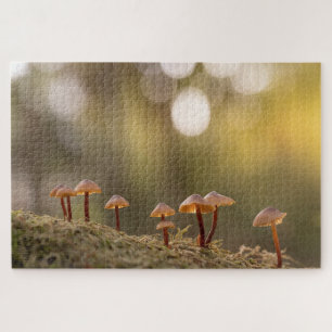 Puzzle Petits champignons Photo nature