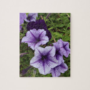 Puzzle Pétunias Violets