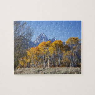 Puzzle Peupliers faux-trembles avec la chaîne de montagne