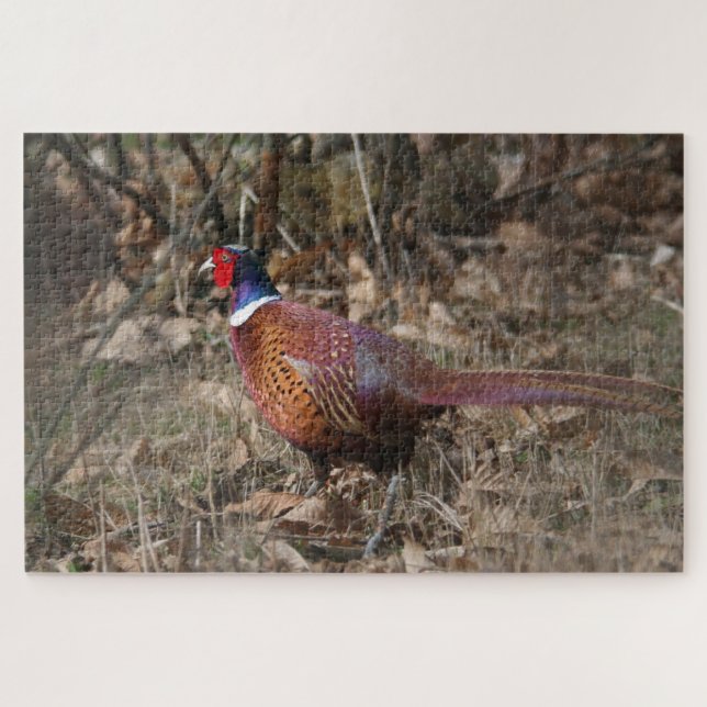 Puzzle Pheasant Se Déplaçant Dans La Forêt (Horizontal)