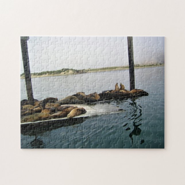 Puzzle Phoques du port, Morro Bay, Californie (Horizontal)