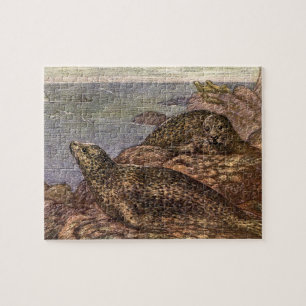 Puzzle Phoques du port vintage, Marine Vie Animaux de l'o