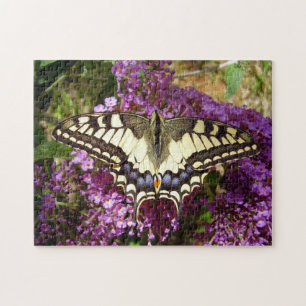 Puzzle photo avec boîte cadeau de papillon Swallow
