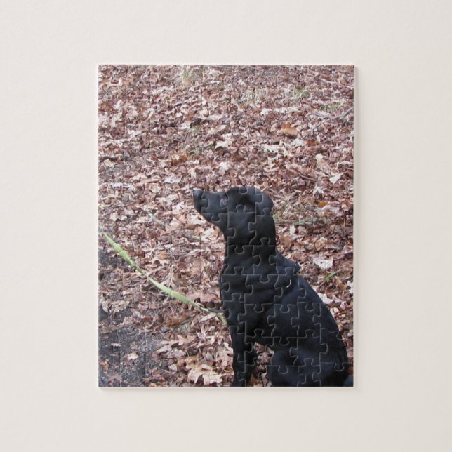 Puzzle Photo Black Dog (Vertical)