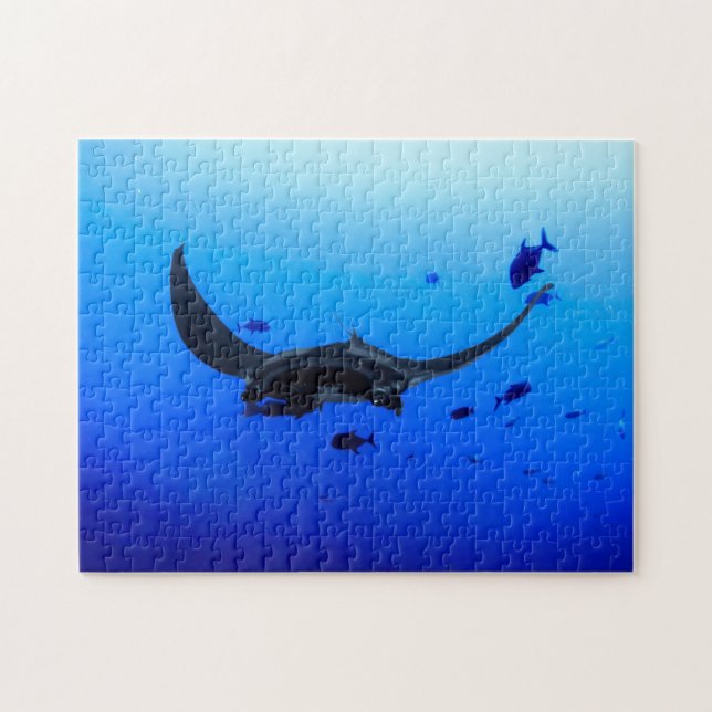 Puzzle photo Black Manta Sting Ray (Horizontal)