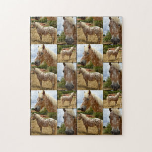 Puzzle Photo Collage d'Appaloosa Horses