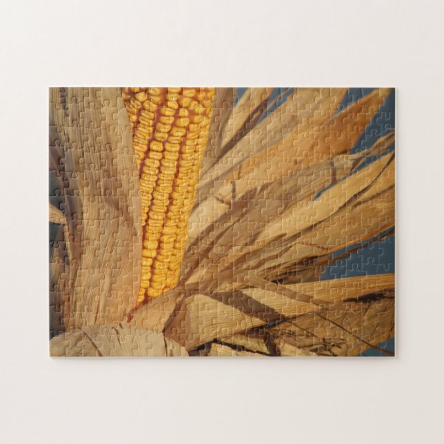 Puzzle Photo colorée de Harvest Corn (Horizontal)