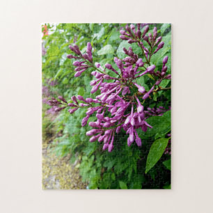 Puzzle photo créatif violet lilas