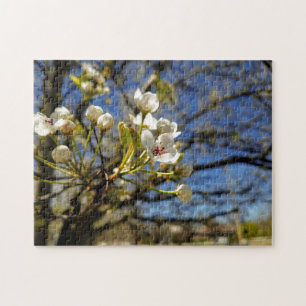 Puzzle photo créative de fleur d'arbre blanc