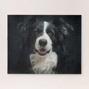 Puzzle Photo de beau chien Border Collie noir et blanc