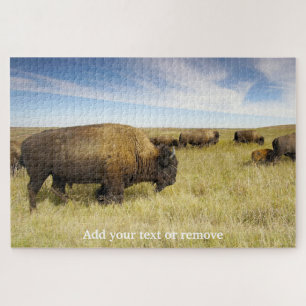 Puzzle Photo de bison nord-américain dans les plaines,