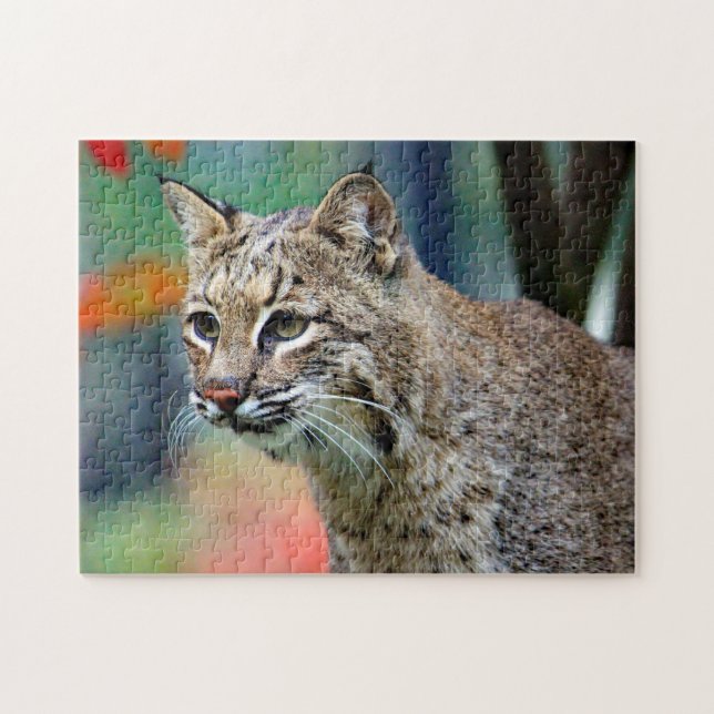 Puzzle Photo de Bobcat Wildlife (Horizontal)