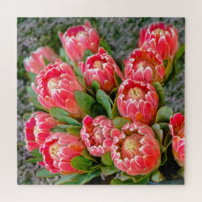 Puzzle Photo de bouquet de fleurs de Protea 20' x 20' 676 (Horizontal)