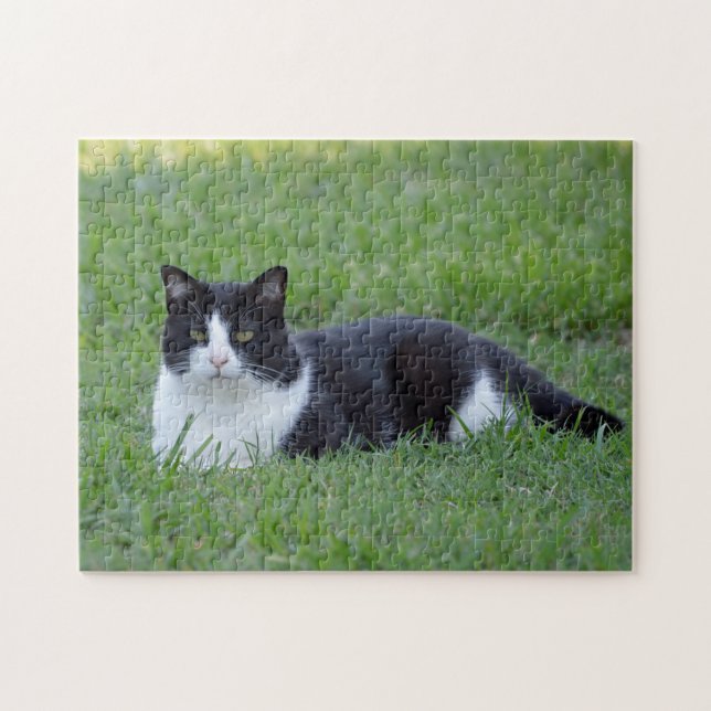 Puzzle Photo de chat en noir et blanc (Horizontal)